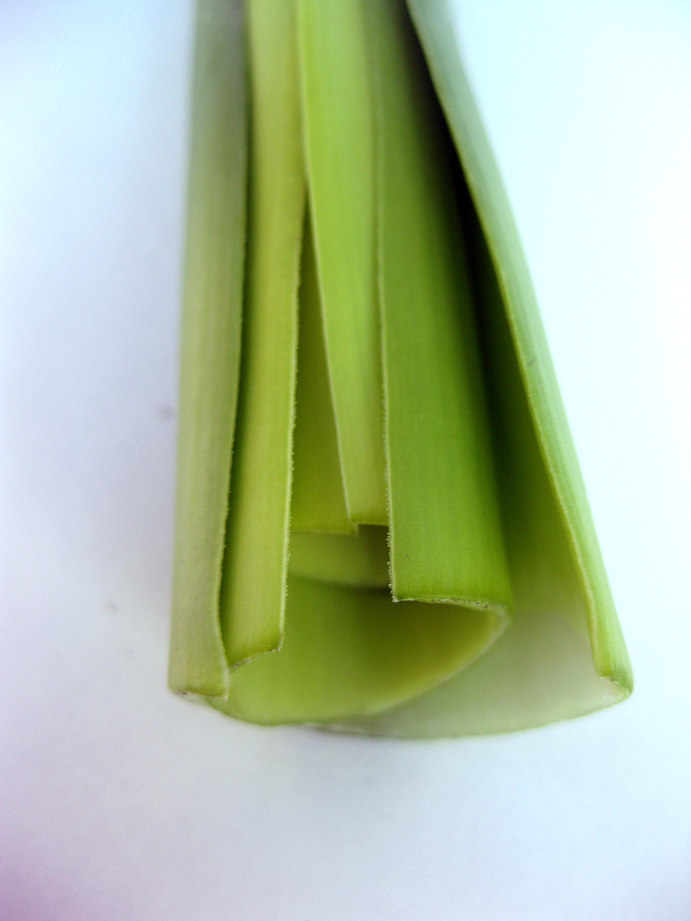 vegetable16